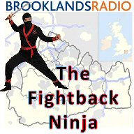 Fightback Ninja